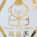 퍼플퍼피 이미지