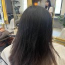신데렐라미용실 이미지