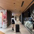 26 | 브라이튼 캐리어 아이레 26인치 내돈내산 후기｜가성비 확장형 여행 캐리어 추천(+할인구매)