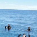 가고싶은 바다섬호텔 이미지