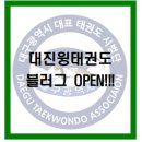 대진 윙 태권도 이미지
