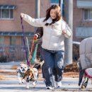 (주)한진정화