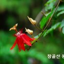 아무도 모르는 내 마음, 100% 이해받는 5단계 연결법 이미지