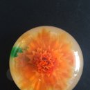 화요일플라워 이미지