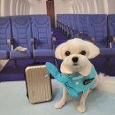 멍언니 쌀롱 이미지