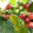 서원농장 이미지