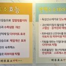 하루효소편백 이미지