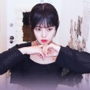 로지인 이미지