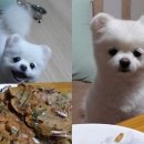 달리 이미지