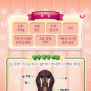 양·한방 전문 힘찬동물병원 이미지