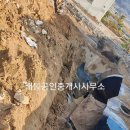 장흥회덕중학교 이미지