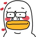 디로스터스.더치미 네이버블로그