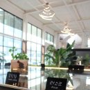 멍그니엘 애견호텔 경기광주점 | [경기/광주시] 아기랑 그랜마스 경기광주점 브런치 방문 후기 (기저귀갈이대 완비)