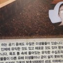 효소명가 이미지