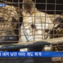 실상농장 이미지