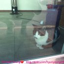 덕포역 1번 출구 이미지