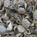 한씨 제각 옆 이미지