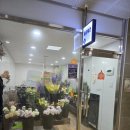 순천-55호 이미지