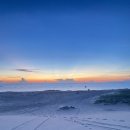 기계사막 | [나트랑]판랑투어 솔직후기 🇻🇳 (핑크지프 타고 사막 인생샷 남기기)