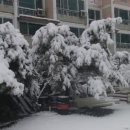 알프스펜션 이미지