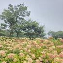 도토리 열차 스튜디오 이미지