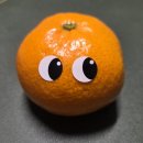 씨유(CU)연산과정로점 | 가지마 바보(2025)야