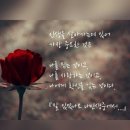 거진해안길 이미지