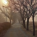 하남시청역부동산공인중개사사무소 이미지