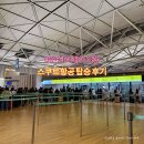 897 | 대만 타이베이 여행 스쿠트항공 TR897 지연 탑승 후기