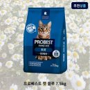 베스트 쇼핑하우