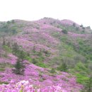 겸백초등학교 이미지