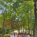 6월 20일 서울숲 이미지