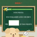 프리티 - 당진시 대덕1로1길 20-13 | 프리티