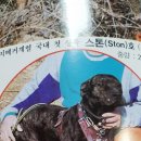 쏘니호