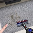 푸드카펫 이미지