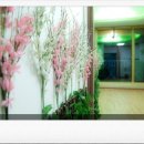 바다랑펜션 이미지