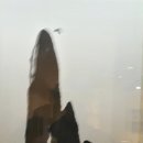 수덕사 성보박물관 이미지