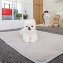 밍크하우스 쇼핑하우