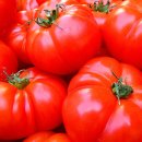 대한안경원 이미지