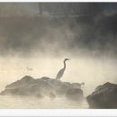 월성 빗물펌프장 이미지