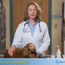 일산동물약국 이미지