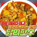 닭의한수 이미지