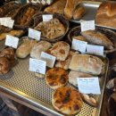 뉴이태리안경 이미지