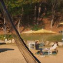 카페토리 이미지