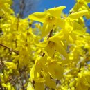 전주기전여자고등학교 이미지