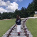 NA002 | 가을 여행룩 | 카네이테이 맨투맨, 썸웨어버터 피피백팩, 아식스 조그 100 2
