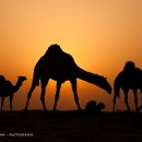 클릭전원미술학원 이미지