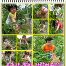 반곡 농장 이미지