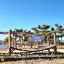 2026년 1월 동문2동산악회 신년 트래킹(갯벌 바다 탐방길) 이미지