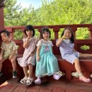 밀양수영장가족쏠마레펜션 이미지